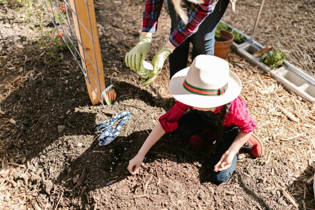 Attività partecipative per l'ambiente